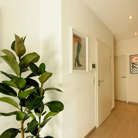 Daire Bonnystay Rheinfelden - Haus Mit Garten Und Zwei Separaten Karsau