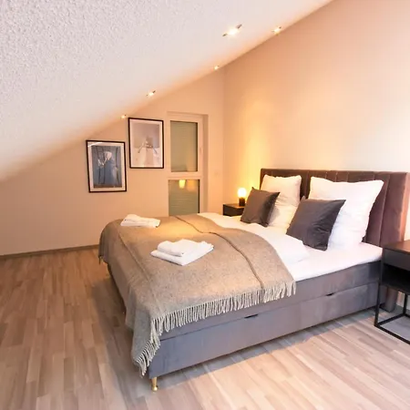 Bonnystay Rheinfelden - Haus Mit Garten Und Zwei Separaten * Karsau